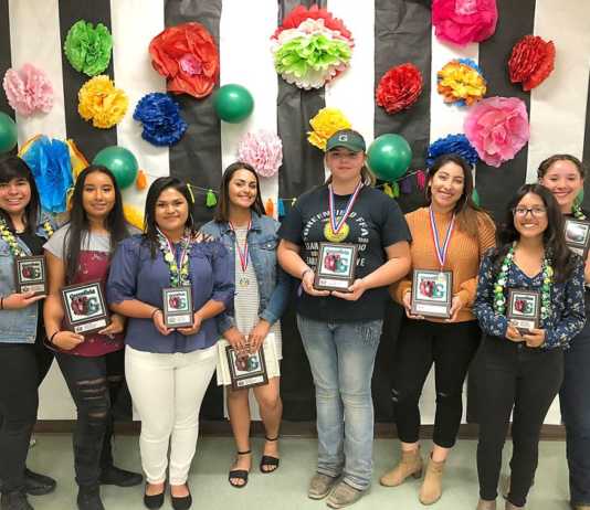 Lady Bruins softball team honored