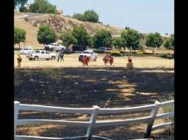 Mower sparks 10-acre fire near Greenfield