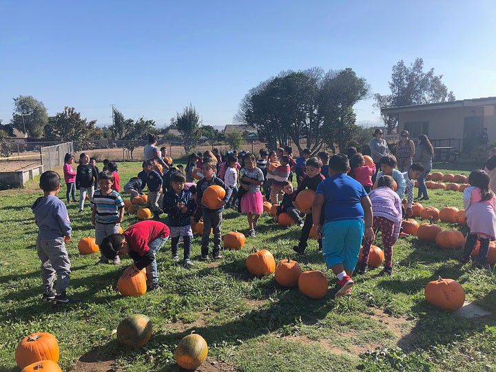 Greenfield students celebrate fall season with Pumpkin Patch