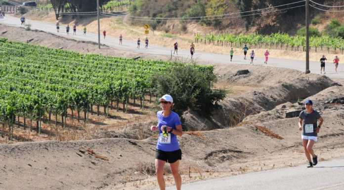 Salinas Valley Half Marathon ends after 9-year run