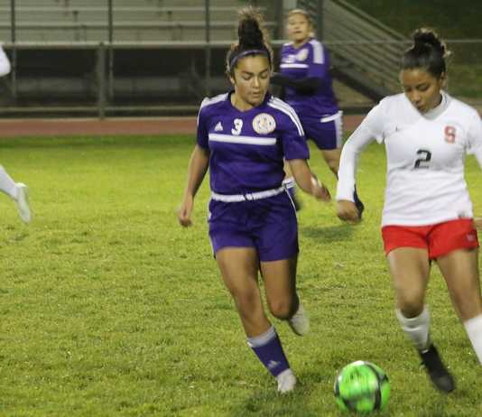 Soccer | South County weekly roundup