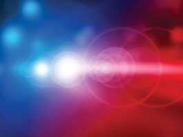 Police Briefs | Published Jan. 23, 2019