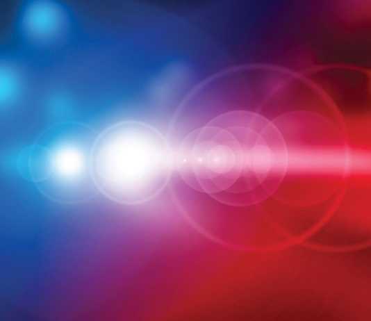 Police Briefs | Published Jan. 9, 2019