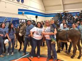 King City, Greenfield FFA compete in donkey basketball