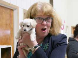 South County Animal Rescue hosts first Sweetheart Tea Party