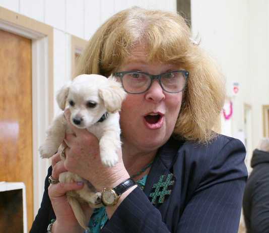 South County Animal Rescue hosts first Sweetheart Tea Party