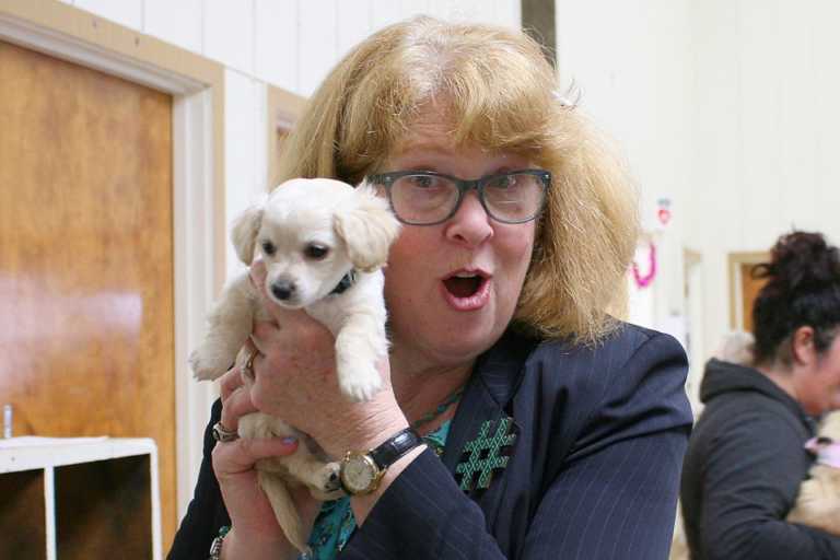 South County Animal Rescue hosts first Sweetheart Tea Party