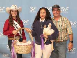 Salinas Valley Fair cancels poultry show