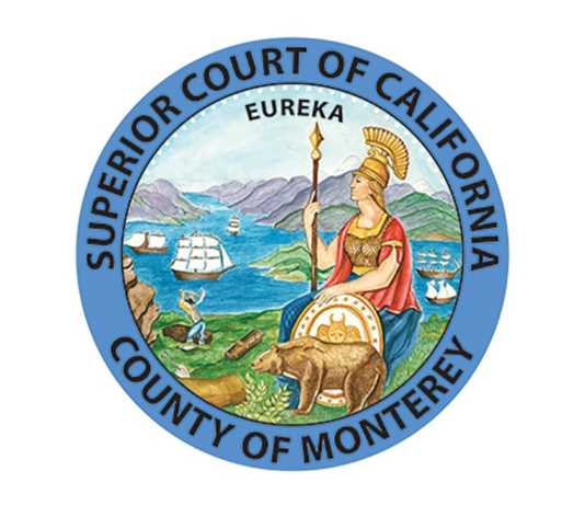 Court services expand in South County