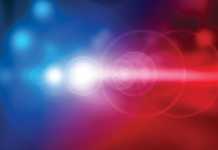 Police Briefs | Published March 20, 2019