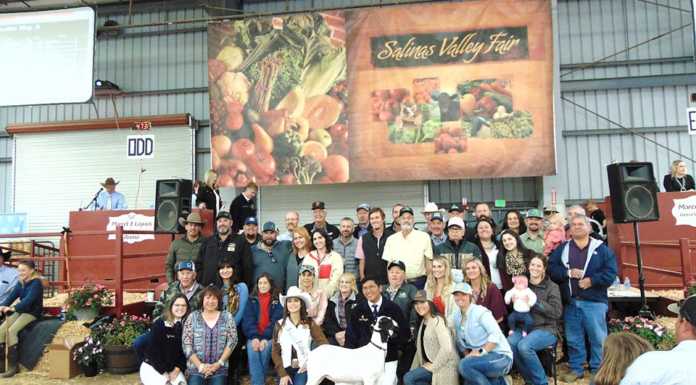 Heritage goat sells for $108K at livestock auction