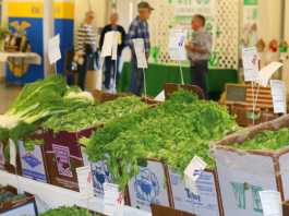 FARM TO FABLE: Salinas Valley Fair attracts nearly 30,000 visitors