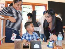 Sol Treasures, Science Workshop partner for interactive exhibit
