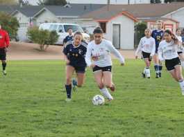 South County soccer teams prep for league play