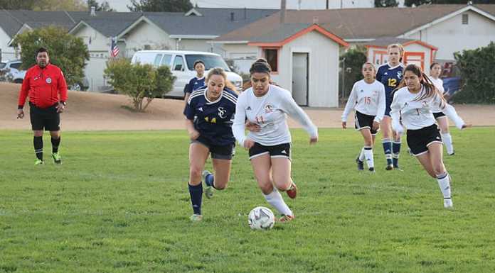 South County soccer teams prep for league play