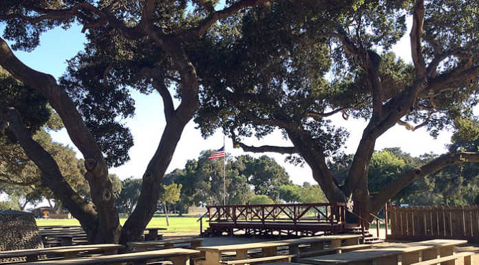 South County’s hidden jewel: Oak Park