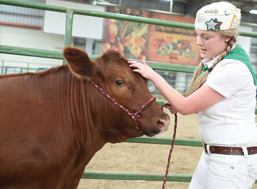 Salinas Valley Fair set for May 18-21