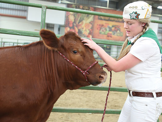 Salinas Valley Fair set for May 18-21