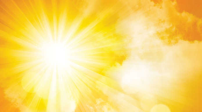 Residents reminded to keep pets safe during heat advisory