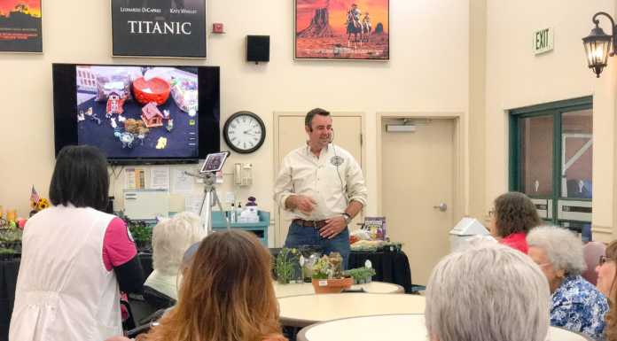 Fairy garden workshop blooms at Eden Valley