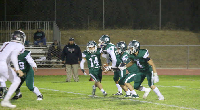 St. Francis Sharks surprise Greenfield Bruins, 35-18
