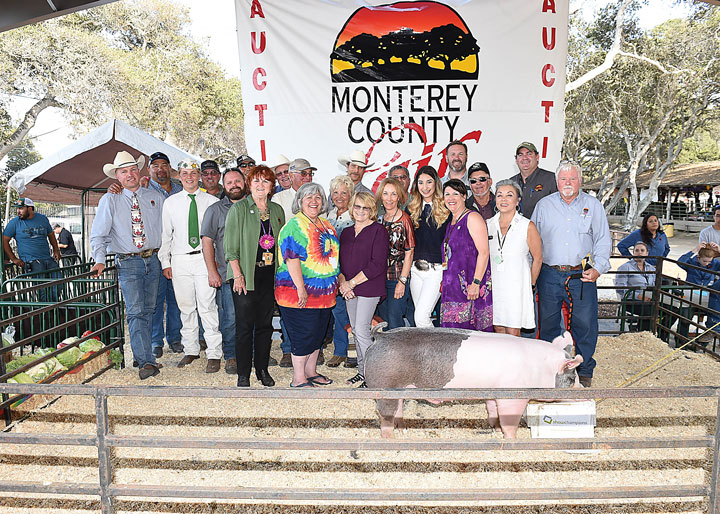 Gonzales student’s heritage hog sells for $33K