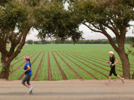 Salinas Valley Half Marathon returns this year