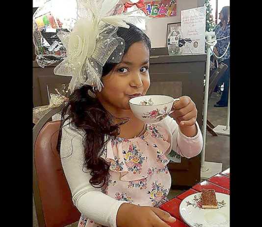 Barbecue, holiday tea fundraisers benefit SCAR, Historical Society