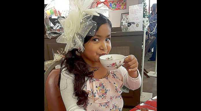 Barbecue, holiday tea fundraisers benefit SCAR, Historical Society