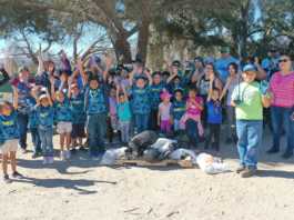 Scouts join together to clean up San Lorenzo County Park