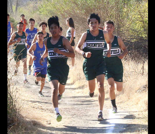 Greenfield teams win Valley Meet
