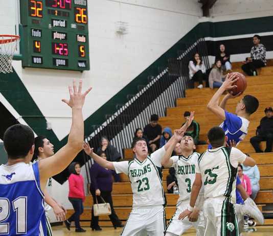 Bruins fade against Mustangs