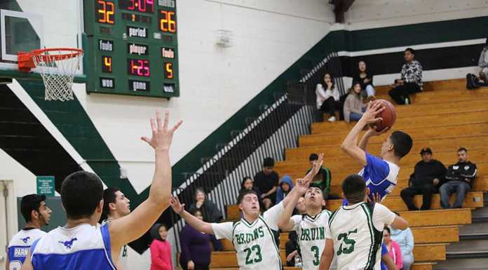 Bruins fade against Mustangs