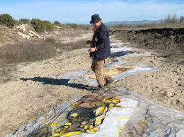 Artist duo creates field of exploration along Salinas River
