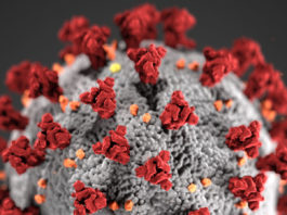 Monterey County schools extend closure until May 4 due to ongoing coronavirus pandemic COVID-19, novel coronavirus 2019