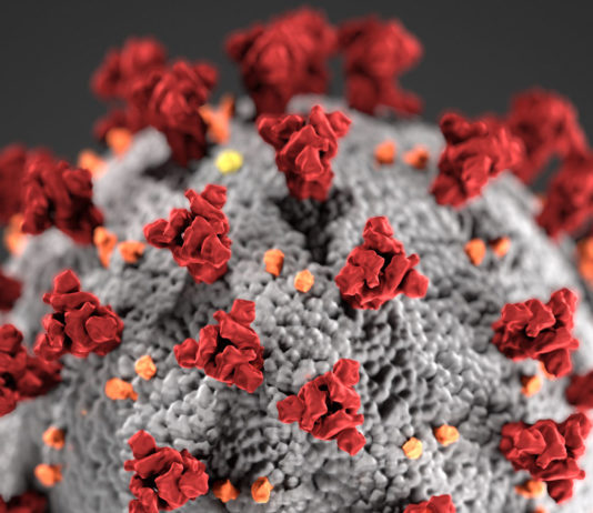 South Monterey County cities issue local emergency proclamations due to coronavirus threat COVID-19, novel coronavirus 2019