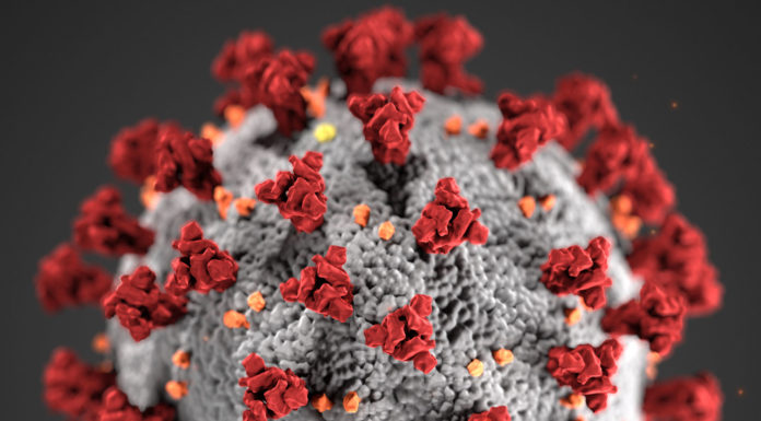 What counts as ‘essential business’ in Monterey County amid COVID-19 stay-at-home order COVID-19, novel coronavirus 2019