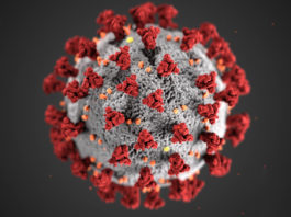 Coronavirus cases increase to 32 in Monterey County COVID-19, novel coronavirus 2019