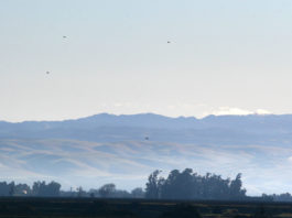 VALLEY VIEWS | March 30, 2020 Photo Gallery Salinas Valley