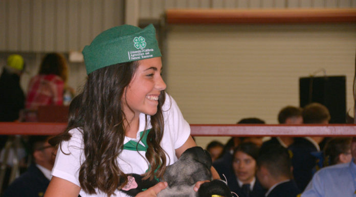 Salinas Valley Fair to host online livestock auction