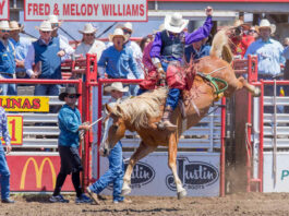 110th California Rodeo Salinas postponed to October