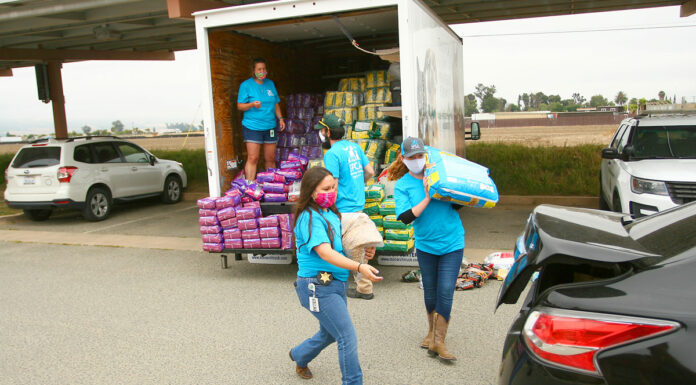 Pets receive helping hand during SPCA’s pet food bank in Greenfield