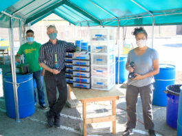 Greenfield Community Science Workshop reopens with new outside lab area