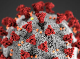 Monterey County closes Covid-19 testing site in Greenfield Covid-19, novel coronavirus 2019