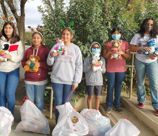 King City Blue Ribbon 4-H members decorate stuffed animals for Greenfield seniors